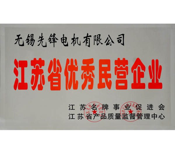 11 江蘇省優(yōu)秀民營企業(yè)榮譽(yù)證書.jpg